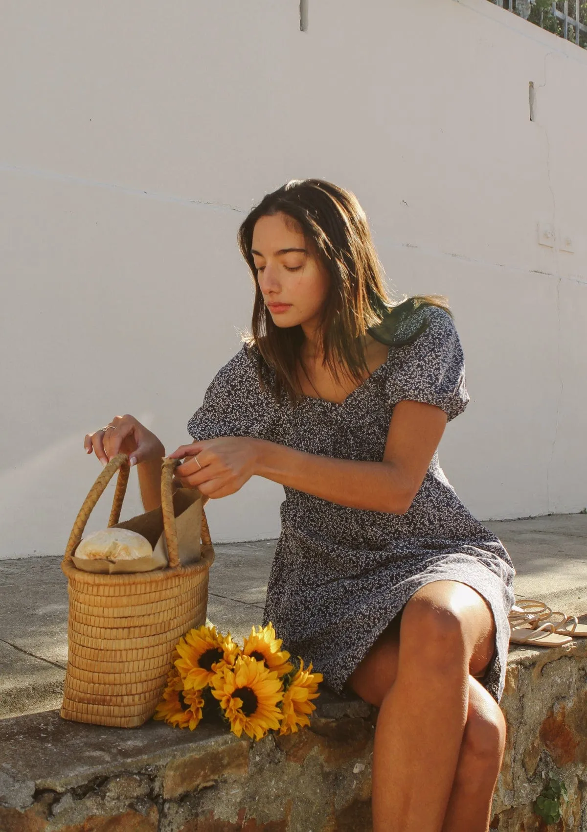 Emelie Day Dress | Midnight Meadow