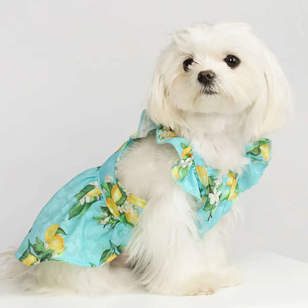 Ruffle Sleeves Sundress in Blue